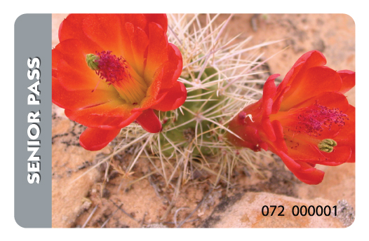 karnet-parki usa-senior-pass karnet-parki usa-senior-pass