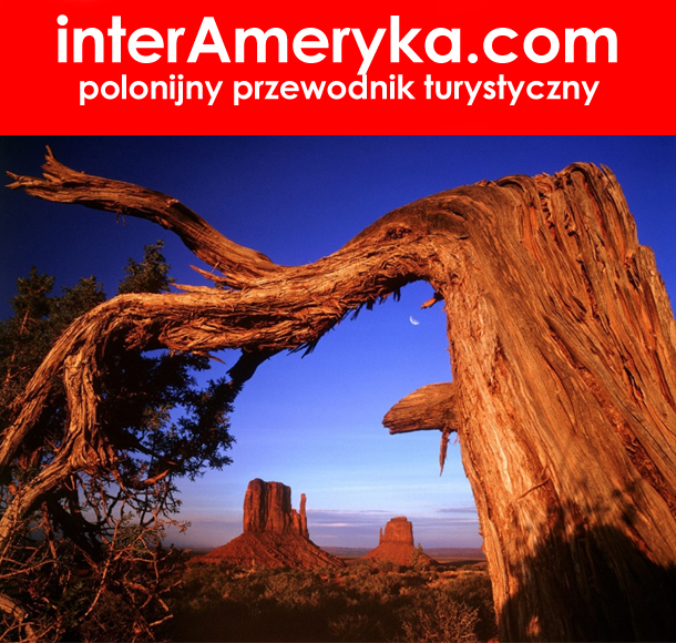 przewodnik po USA