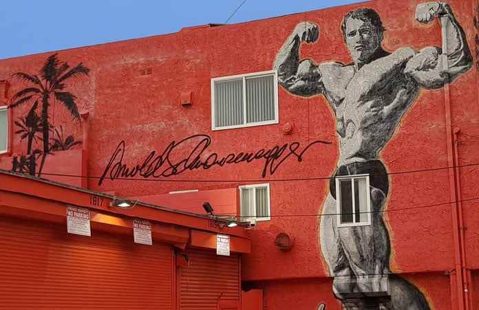 Mural Schwarzenegger Venice Beach California