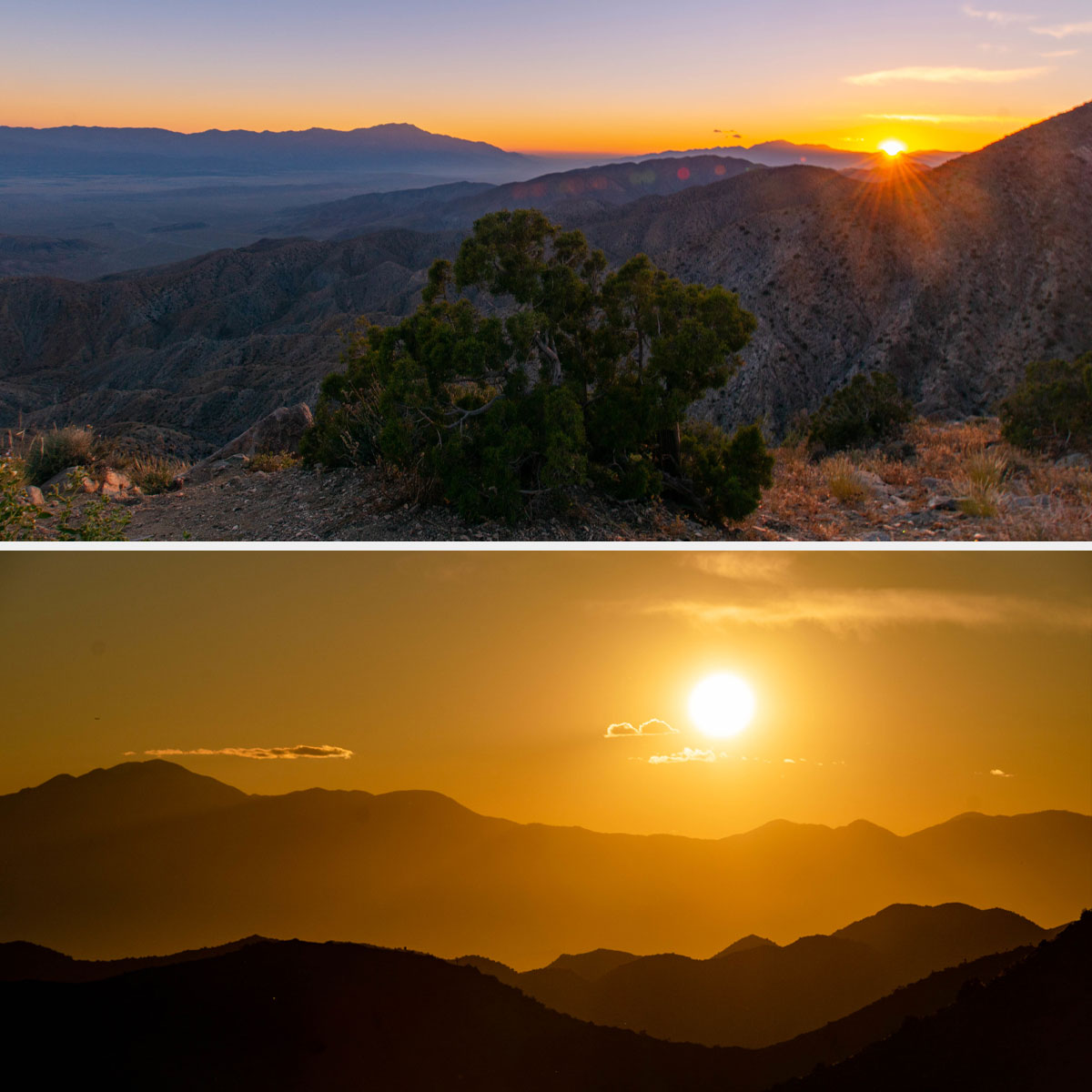 Key Views zachod slonca w Joshua Tree