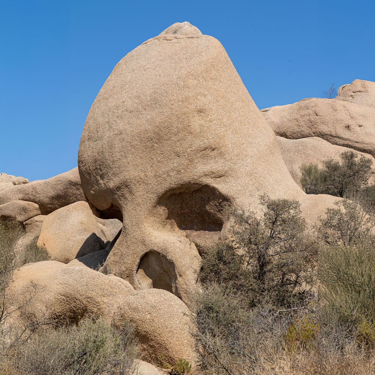 skala-skull-rock Joshua Tree